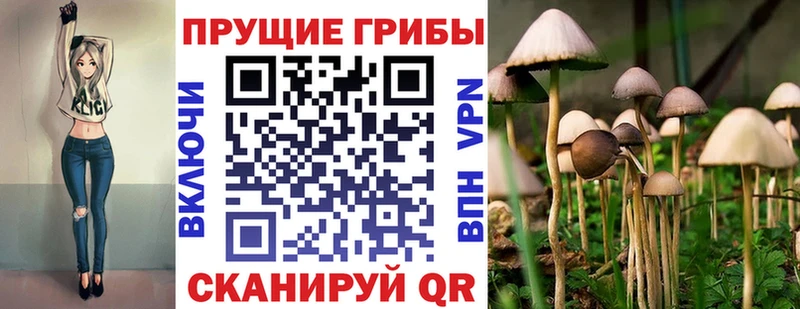 Псилоцибиновые грибы GOLDEN TEACHER Сысерть